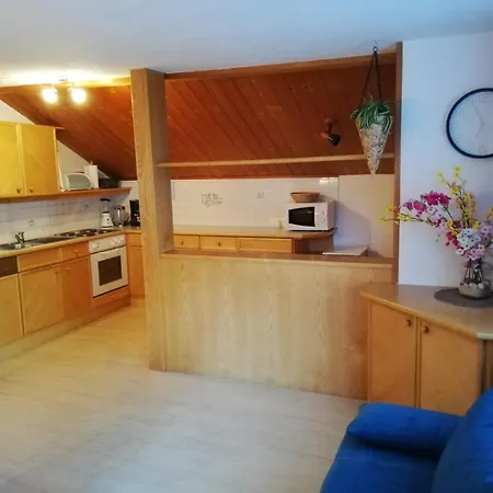 Haus Rainer Apartman *